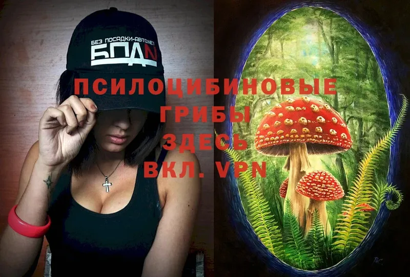 Псилоцибиновые грибы Magic Shrooms  Волосово 