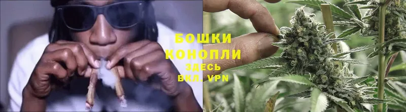 Бошки Шишки Ganja  Волосово 